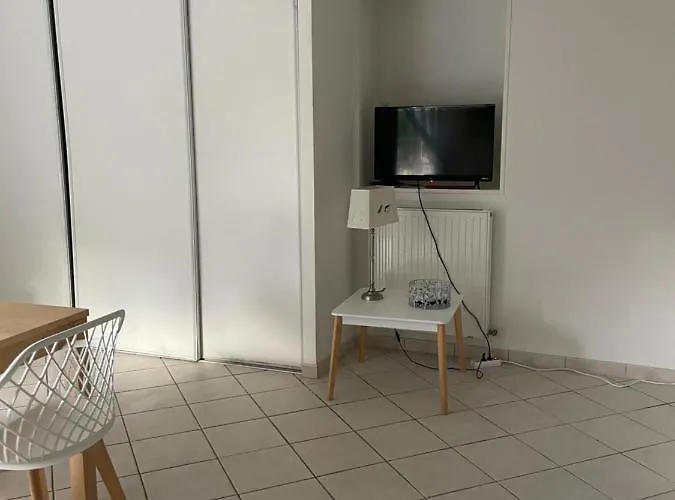 Les Hortensias Arès